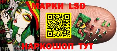 гидропоника Рязань