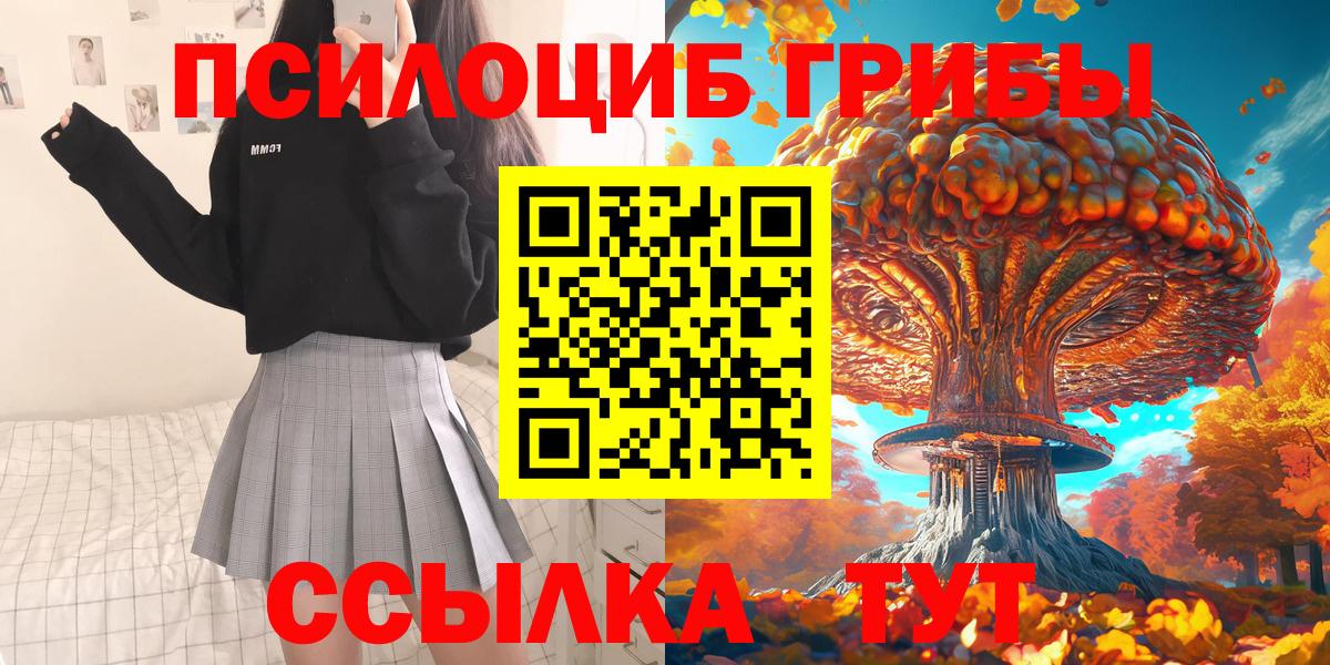 Псилоцибиновые грибы Psilocybe Советский
